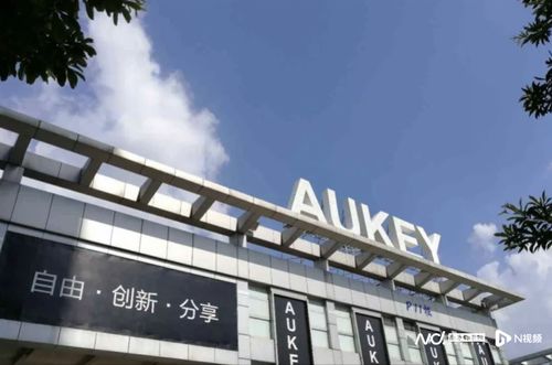 4个月狂赚1.8亿，初代大卖傲基科技获上市备案，揭秘跨境电商的资本突围之路